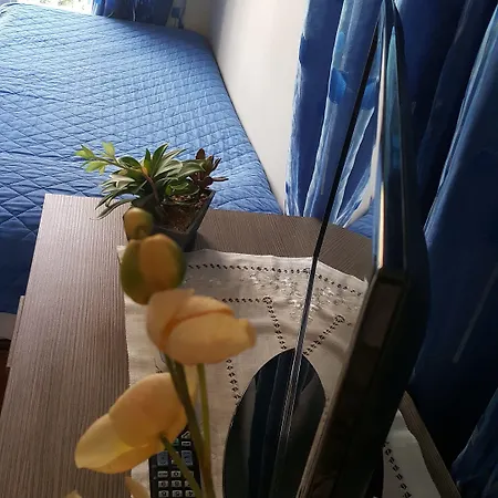 Domina Romae Bed & Breakfast