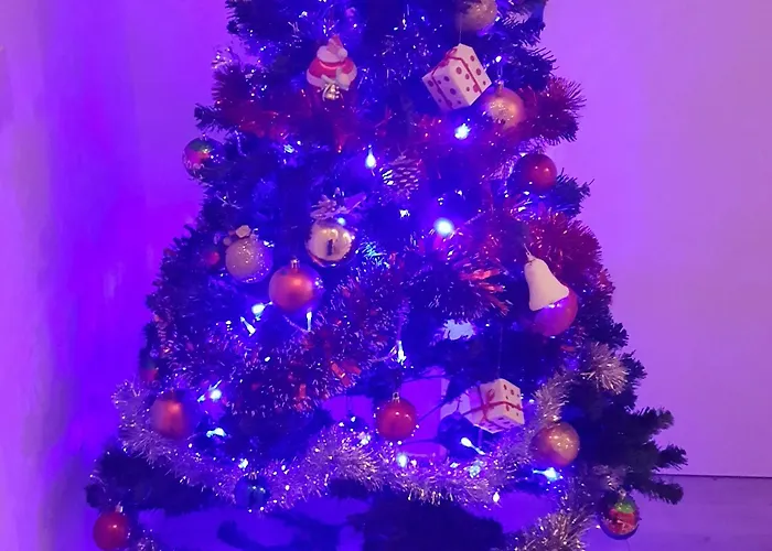 도미나 로매 비앤비